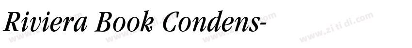 Riviera Book Condens字体转换